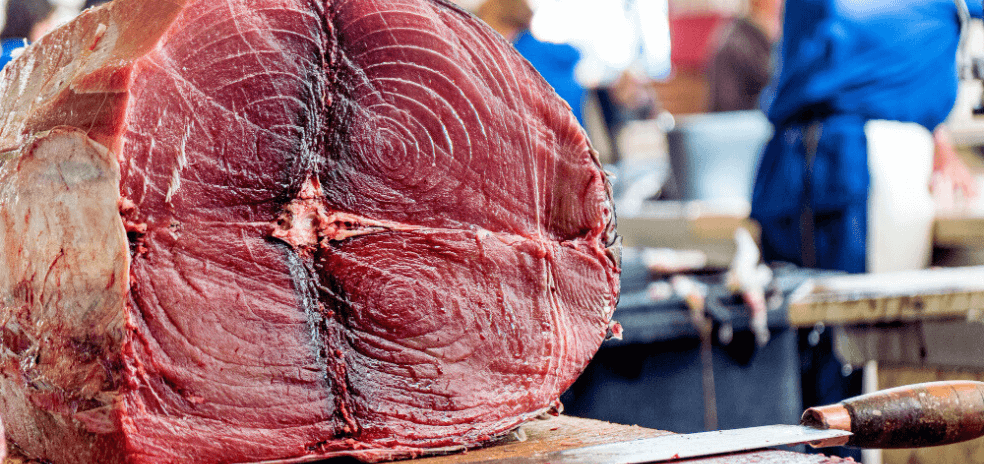 Karen Kelh advogada Florianópolis Santa Catarina área trabalhista